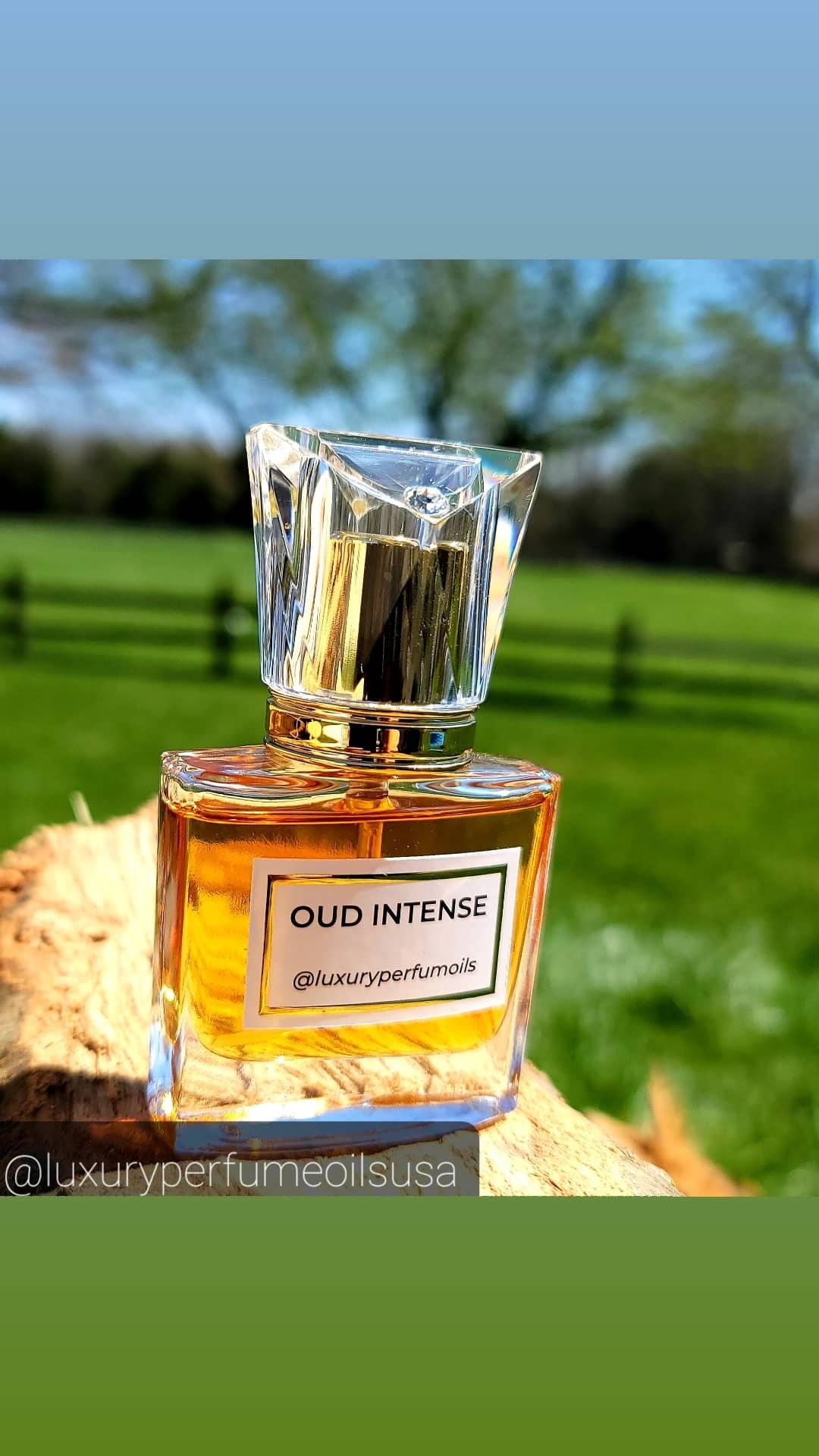 ML# Oud Intense20ML